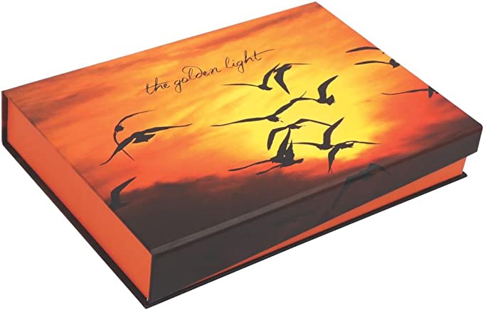 The Golden Light - Ensemble d'aiguilles interchangeables - Édition limité