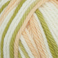 Estelle Yarns - Sudz coton multicolore